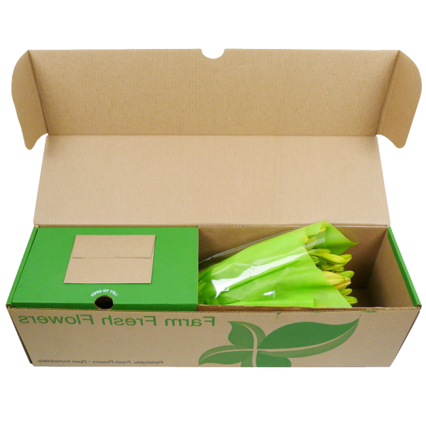 12 Stem Assorted Asiatic Lily Bunch