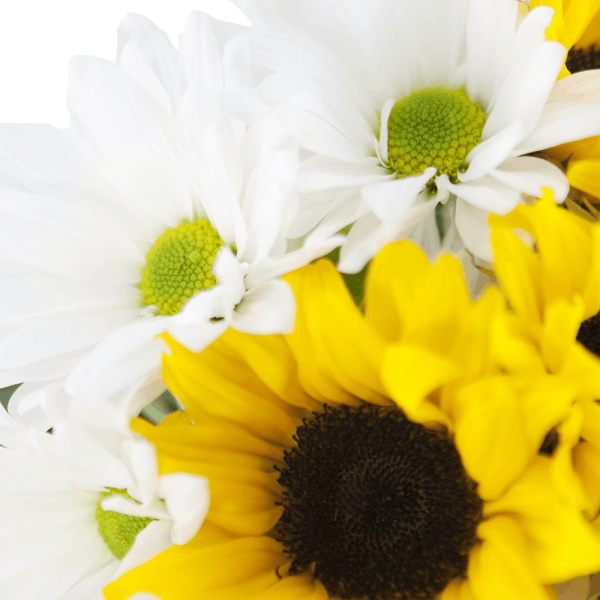 Solar Sunflower Cocktail