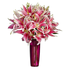 Stargazer Lily Bouquet Stargazer Lily Bouquet