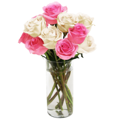 Pink&White Long Stemmed Roses Pink&White Long Stemmed Roses