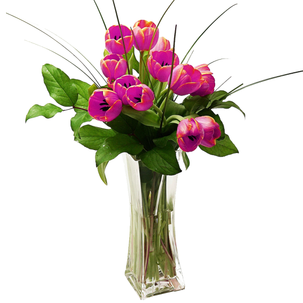 Tulips Arranged in a Vase