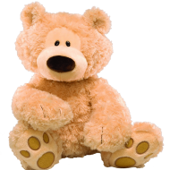 Teddy Bears