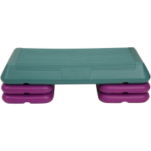 The Step F1004 Step Workout System