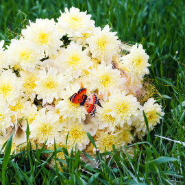 Bouquet of flower arrangement 