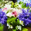 Bouquet of flower arrangement 