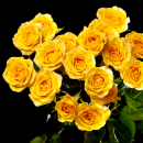 Bouquet of yellow roses 