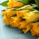 Bouquet of yellow roses 