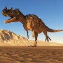 Dinosaurs park