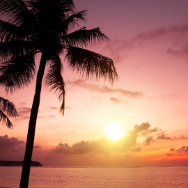Tropical beach at sunset Tropical beach at sunset