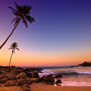 Tropical beach at sunset 