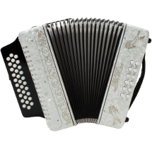 Rizatti Bronco RB3 GW Diatonic Accordion