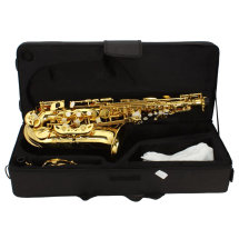 Saxophone sax with Accessories Paint Gold