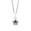 Crystal-Star-Stud-Earring