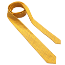 Tie In Dots & Circles