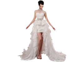 Gown In Lace Wedding Dress