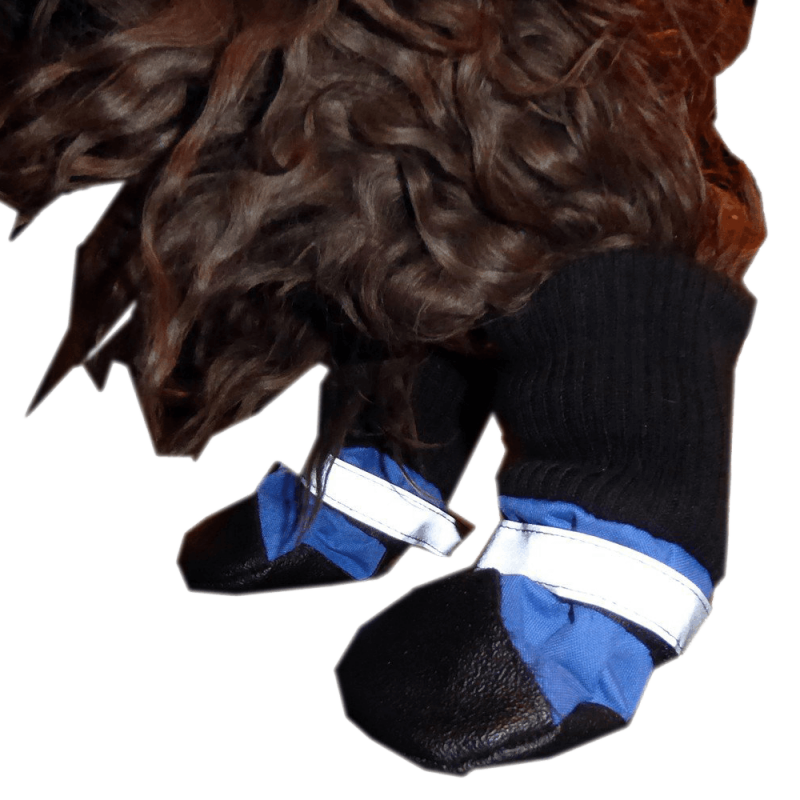 Dog Boots