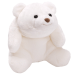 Teddy Bear Stuffed