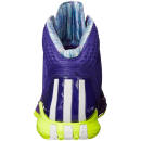 Performance Men's D Rose 4 Basketball Shoe