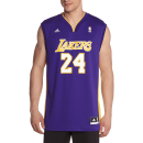 International Lakers Replica Jersey
