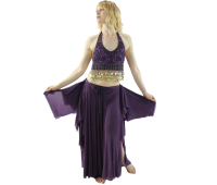 Coins 2-Piece Belly Dance Costume Coins 2-Piece Belly Dance Costume