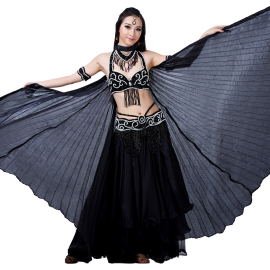 Dance Fairy Exotic Belly Dance Isis Wings