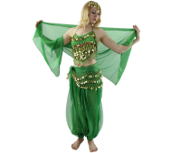 Little Pepper 5-Piece Belly Dance Costume Little Pepper 5-Piece Belly Dance Costume