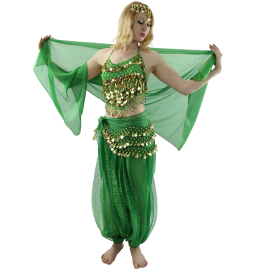 Little Pepper 5-Piece Belly Dance Costume