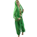 Surfwheel Sexy Belly Dance - Professional Dancing Costume