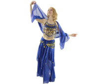 Belly Dance Costume 5-Piece Set Belly Dance Costume 5-Piece Set