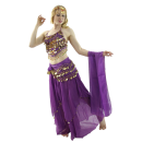 Belly Dance Costume 5-Piece Set