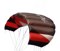 Sting 4 line Power Kite