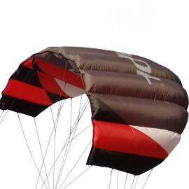 Sting 4 line Power Kite
