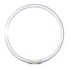 Pendant (5)