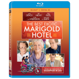The Second Best Exotic Marigold Hotel