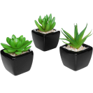 Mini Succulent Artificial Plants with Square Black Ceramic Pots
