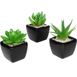 Mini Succulent Artificial Plants with Square Black Ceramic Pots