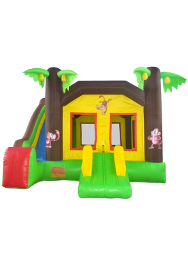Water Slides (1)