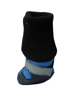 Dog Boots