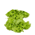 lettuce