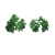 parsley