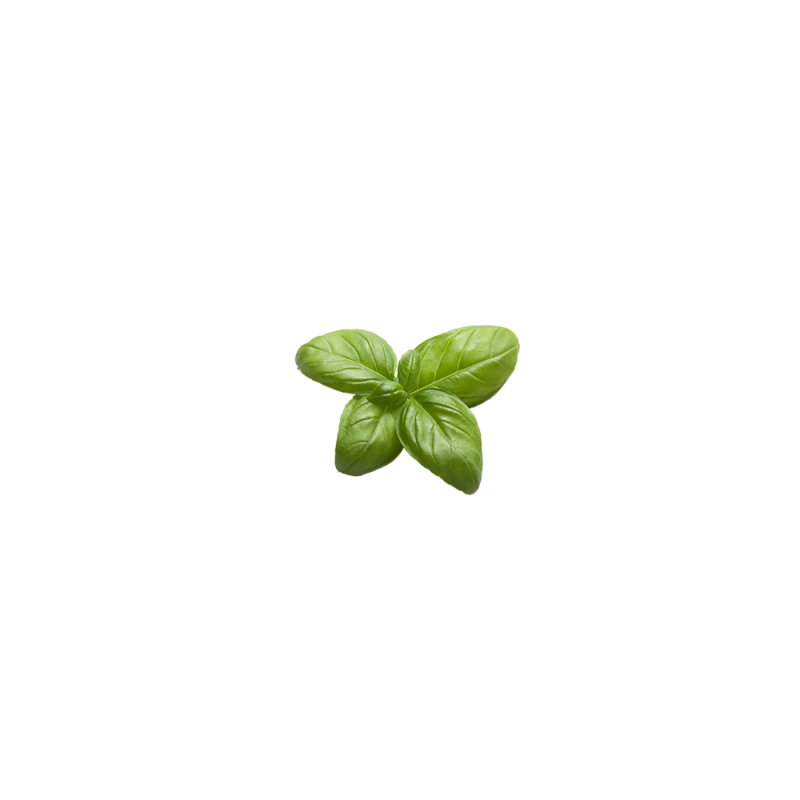 basil