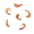 shrimp