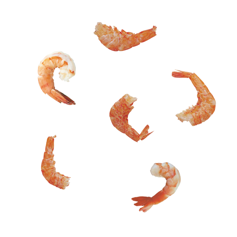 shrimp