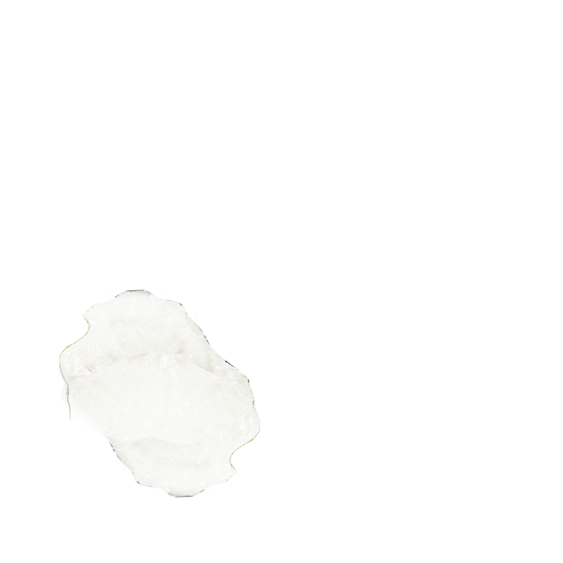 cheese