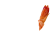 shrimp