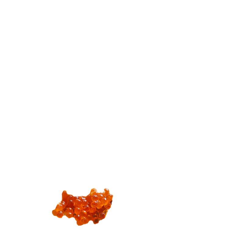tobiko caviar
