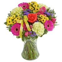 New Baby Vibrant Hand tied or Vase