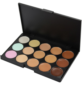 Professional Concealer Camouflage
