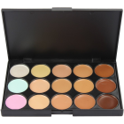 Professional Concealer Camouflage