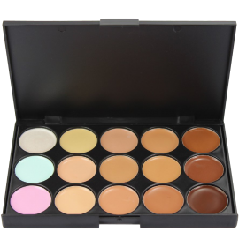 Professional Concealer Camouflage